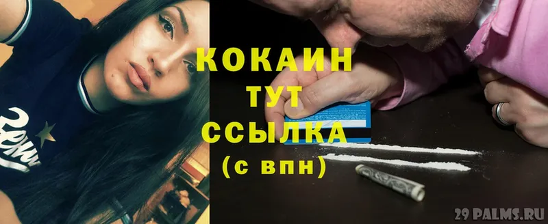 купить закладку  Кисловодск  Cocaine Эквадор 